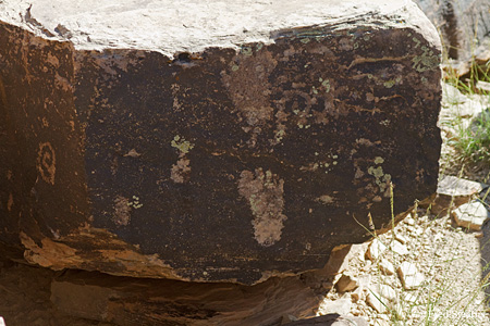 Petrified Forest National Park Newspaper Rock